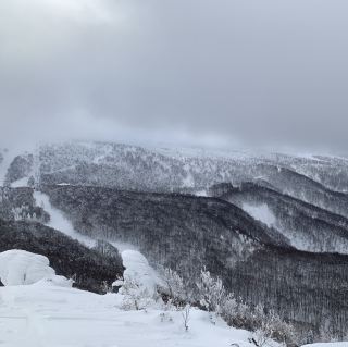 A must-see in your lifetime: Zao Snow Monsters!
