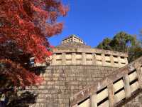 A Symphony of Colors – The Lonely Souls in the Adashino Nenbutsu-ji Temple