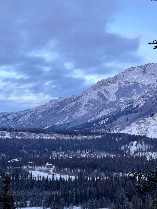 Into the Wild – My Winter Adventure in Denali National Park, Alaska
