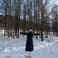 2 Day In snow Village 