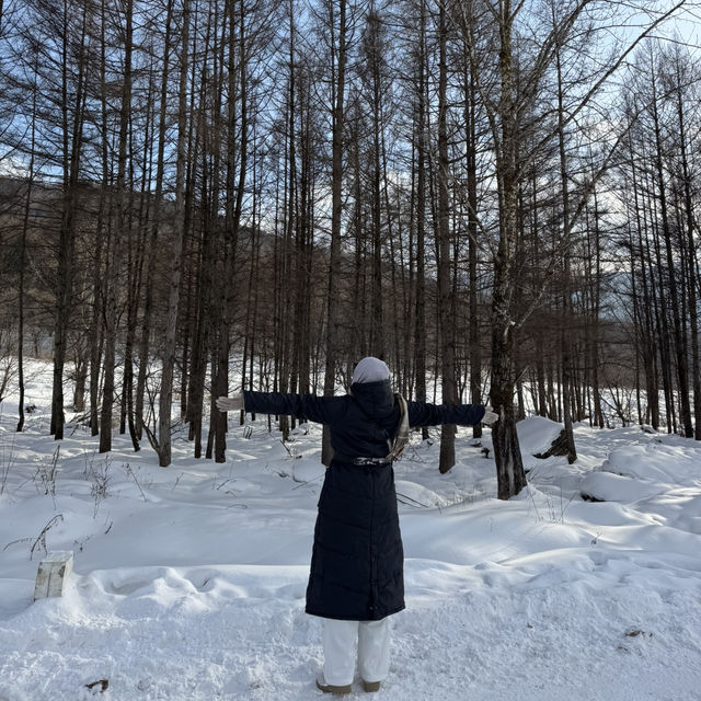2 Day In snow Village 