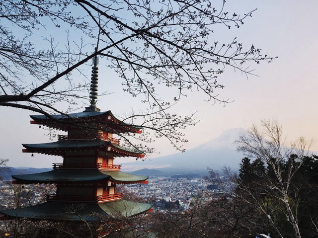 Chureito Pagoda x ซากุระ x ฟูจิ
