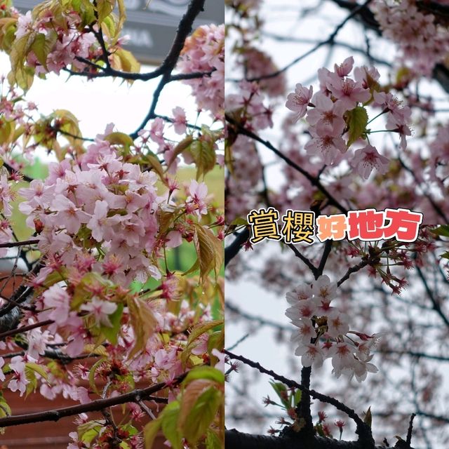 🪖首爾世界最大戰爭主題博物館+首爾塔一日遊🗼
