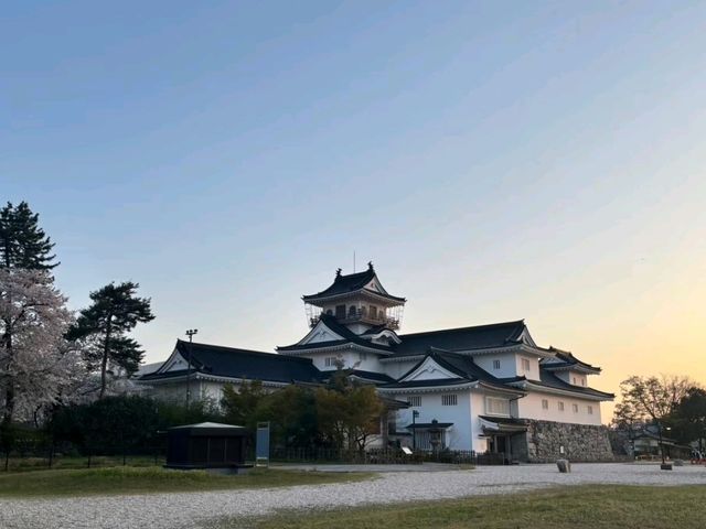 城が目の前！富山の絶景ANAホテル⛰️🌳