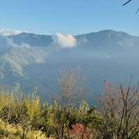 去露營吧！新竹五峰竹鷹露營區🏕️隨時變換景色的高海拔營區推薦！