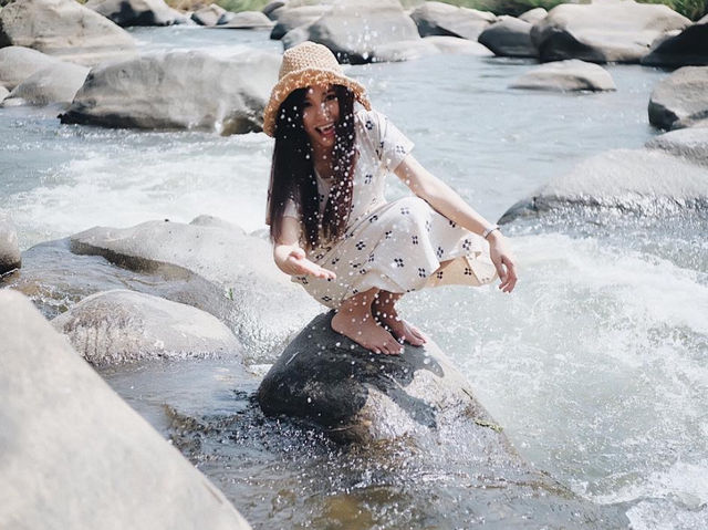 ไปฮีลใจใกล้ชิดธรรมชาติ Stay Wild & Cafe