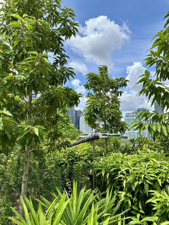 A Sky-High Escape: TRX City Park