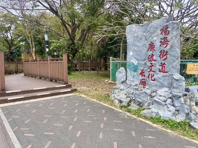 深圳寶安區親子好去處✨立新湖公園🌴❤️