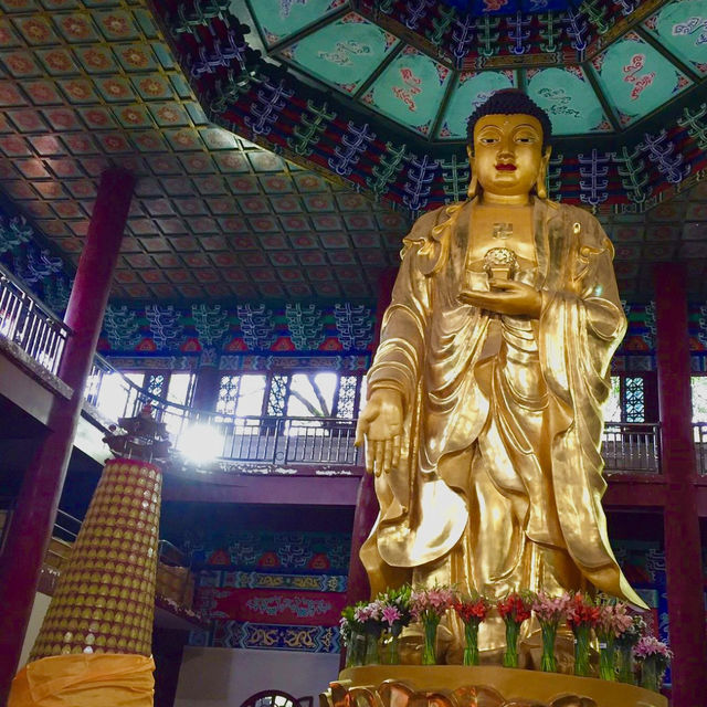 Unveiling the Ancient Charm of Youmin Temple