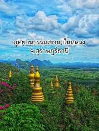 อุทยานธรรมเขานาในหลวง