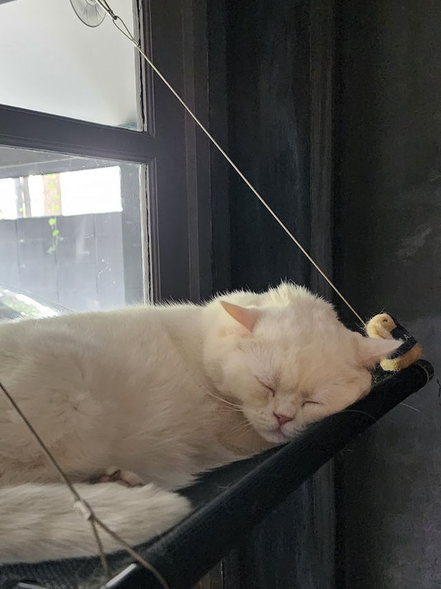 Mitte Coffee cafe & friends : คาเฟ่โทนเข้ม นนทบุรี