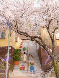 동화같은 부산 벚꽃 마을💞