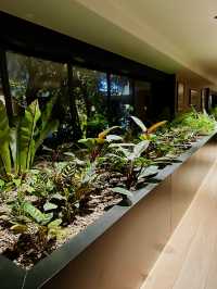 An Urban Oasis at PARKROYAL COLLECTION KL!