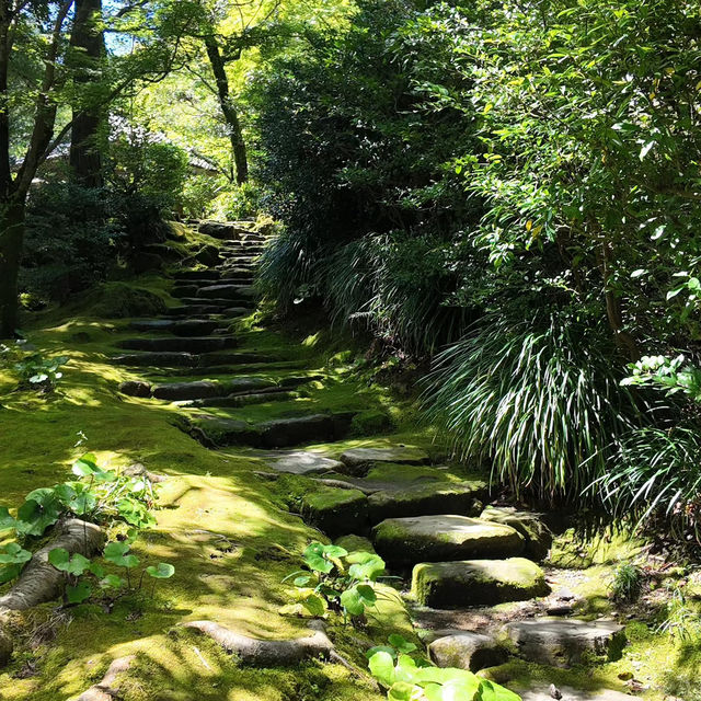南公園-城市中的綠意