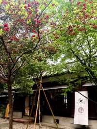 桃園｜從日本警察宿舍到藝文創生 77藝文町城市小旅行