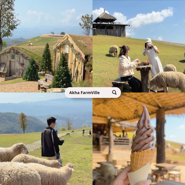 เที่ยวเชียงราย ดอยช้าง 3 วัน 2 คืน 🐑🌳🍃🍵