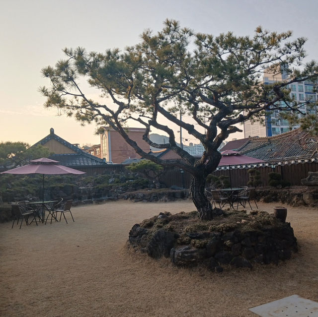 순창 한옥카페 한정당, 전통 속 힐링을 느끼다!