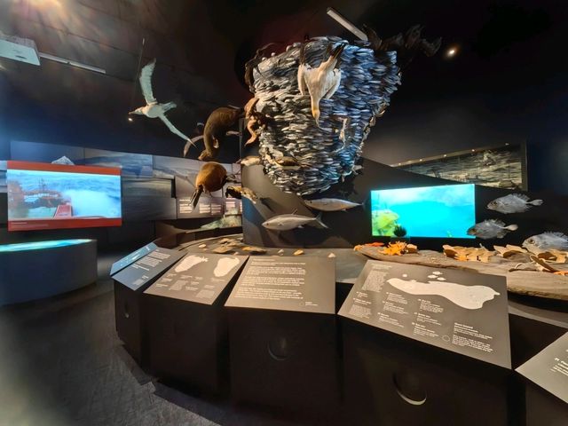 郵輪岸上遊～Tasmanian Art Gallery 
