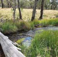 Barrington Tops National Park