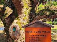 巫登益美術館（新北館）