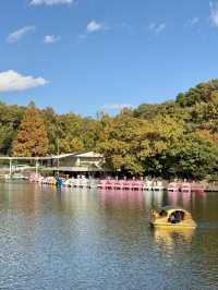 東山植物公園湖泊-多元化水上設施，悠閑享受自然美景