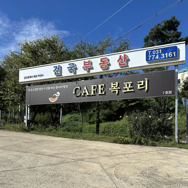 【ヤンピョン】🇰🇷 カフェボクポリ