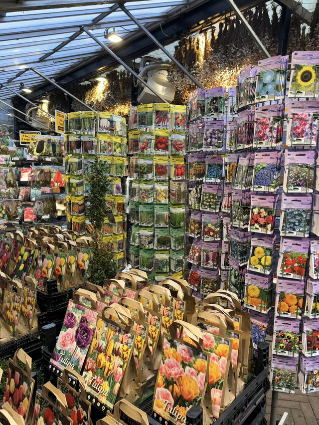 A Colorful Stroll Through Bloemenmarkt, Amsterdam