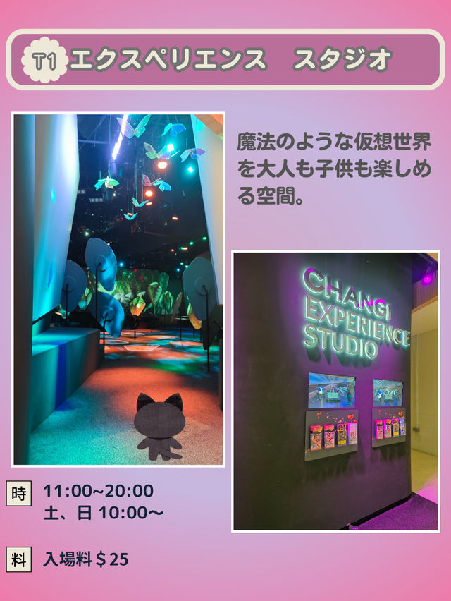 【シンガポール】チャンギ空港がスゴイ！