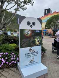 🐼💖【海洋公園雙胞胎熊貓BB全攻略】家姐萌到犯規！細佬招牌「熊貓癱」攻陷全港姨母心💖🐼  