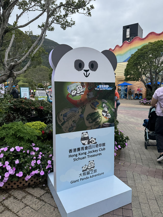 🐼💖【海洋公園雙胞胎熊貓BB全攻略】家姐萌到犯規！細佬招牌「熊貓癱」攻陷全港姨母心💖🐼  