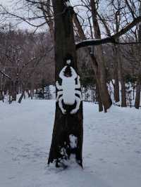 札幌春雪~圓山公園與北海道神宮