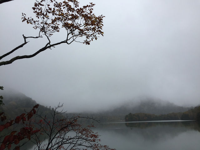 ชิลกลางสายหมอก พักใจกลางธรรมชาติที่ Yuno Lake