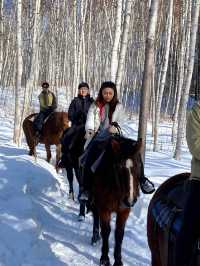 北海道旭川必體驗🐎夢幻雪地行程（老少咸宜）