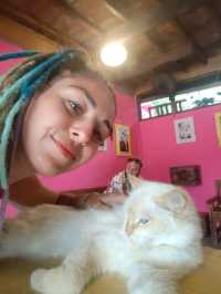 Nusa Lembongan Cat Cafe!