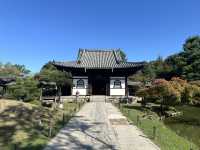 靜謐之美：探訪京都高台寺的歷史與風情