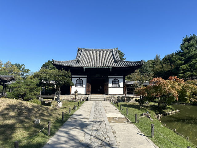 靜謐之美：探訪京都高台寺的歷史與風情