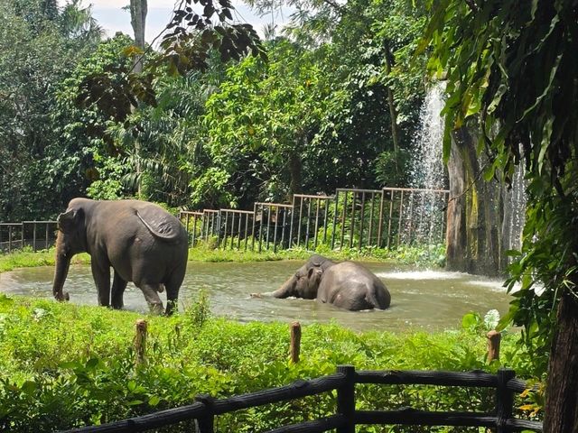 Must-visit places in Zoo Negara Malaysia