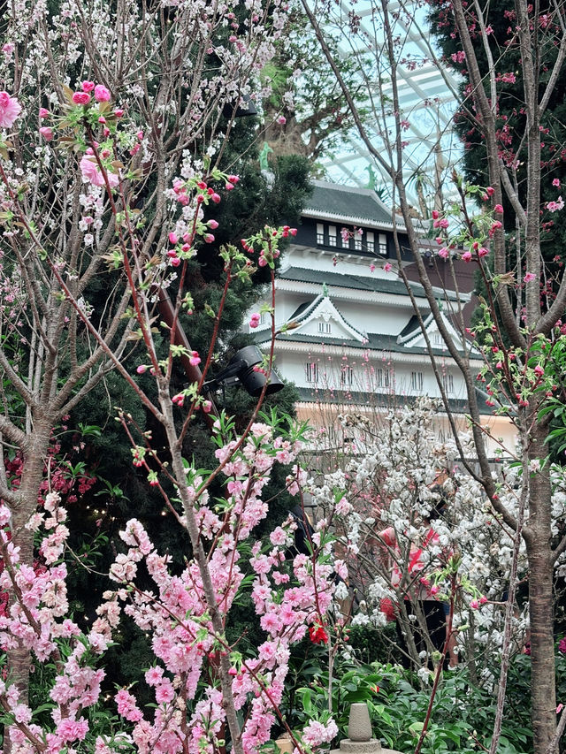 Sakura, Supertrees, and Sundae Bliss! Discovering the Magic of Gardens by the Bay
