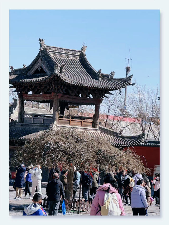 "必遊古塔：應縣木塔之旅"