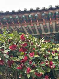 고즈넉한 분위기의 ‘밀양향교’를 가다 ✨🏯