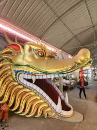 หนึ่งเดียวในไทย🚗 ขับรถลอดท้องช้าง🐘