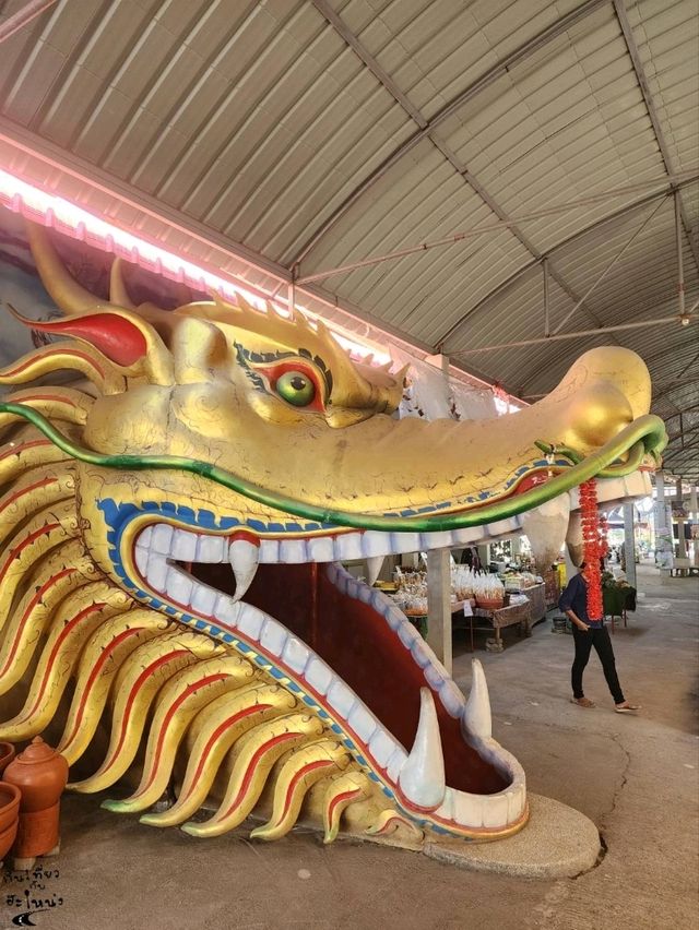 หนึ่งเดียวในไทย🚗 ขับรถลอดท้องช้าง🐘