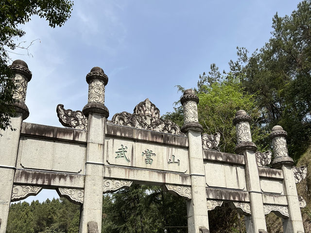 賞櫻不只有日本，武漢東湖賞櫻去🌸