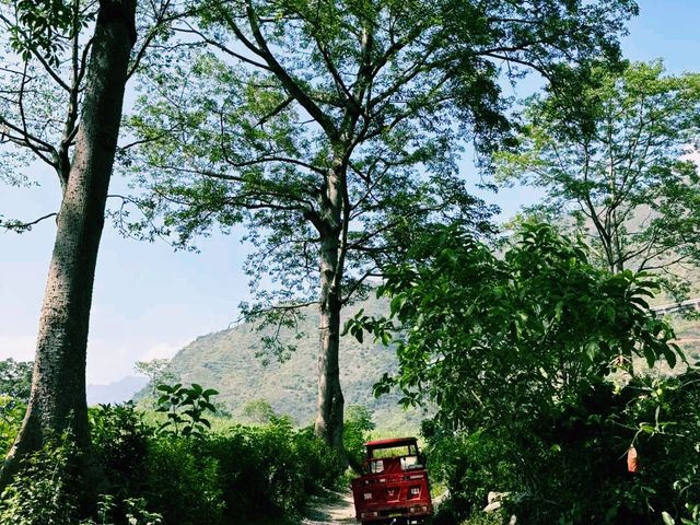 中國雲南保山旅遊縣芒寬旅行攻略，適合打卡拍照📸