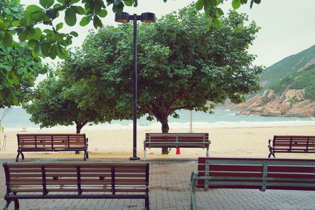 🚌 마을버스 타고 떠난 비 오는 날의 바다, 홍콩 색오비치