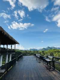 ไร่ชา 1000 ไมล์ – แวะพักชิมชา กาแฟ สไตล์ชิลๆ