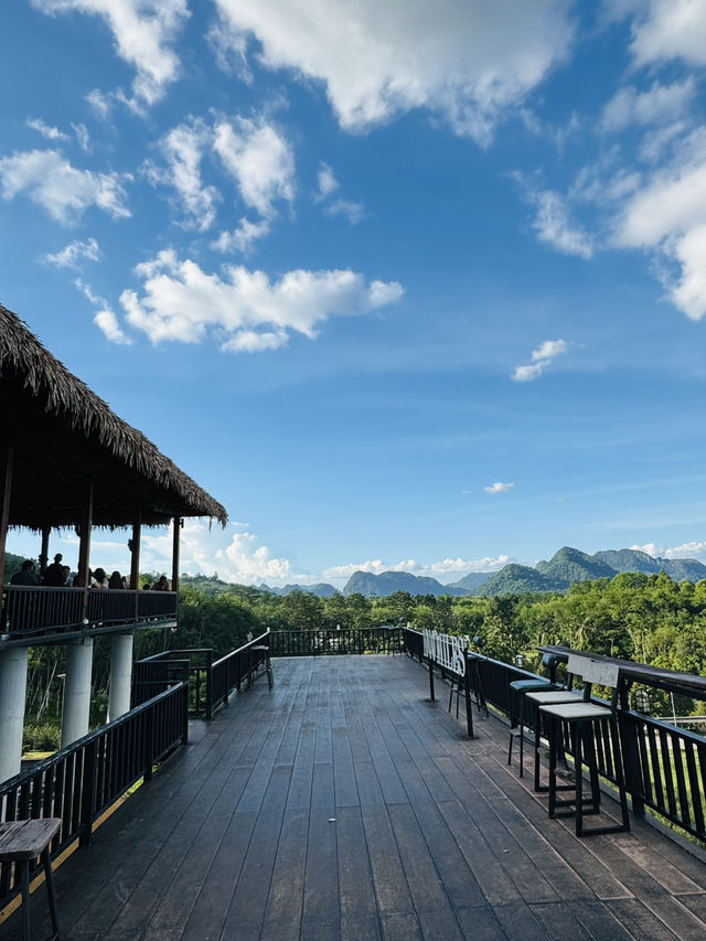 ไร่ชา 1000 ไมล์ – แวะพักชิมชา กาแฟ สไตล์ชิลๆ