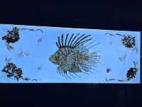 Museum of Oceanography