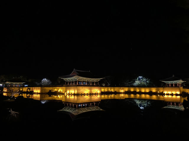 🌕 경주 동궁과 월지, 신라의 밤을 거닐다