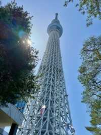 Springtime at Tokyo Skytree – Flowers & Koinobori Galore!